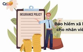 Nhân Viên Đóng Bảo Hiểm Bao Nhiêu Phần Trăm