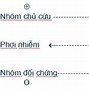 Quy Trình Thực Hiện Nghiên Cứu Khoa Học