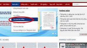 Tra Cứu Thông Tin Học Bổng Iuh 2023 Pdf Download